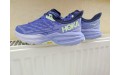 Кросівки Hoka One One Speedgoat 5 1123158 PIBN