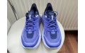 Кросівки Hoka One One Speedgoat 5 1123158 PIBN