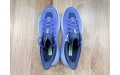 Кросівки Hoka One One Speedgoat 5 1123158 PIBN