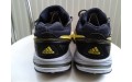 Кросівки Adidas Performance GORE-TEX Q35392