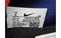 Кросівки Nike Air Max 2090 CK2612 400