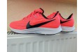 Кросівки Nike Air Zoom Pegasus 36 AQ2203 600
