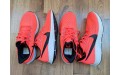 Кросівки Nike Air Zoom Pegasus 36 AQ2203 600