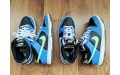 Кросівки Nike Dunk Low Se DR0165-001