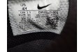Кросівки Nike Dunk Low Se DR0165-001