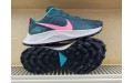 Кросівки Nike Pegasus Trail 3 DA8698-300 Кросівки Nike Pegasus Trail 3 DA8698-300
