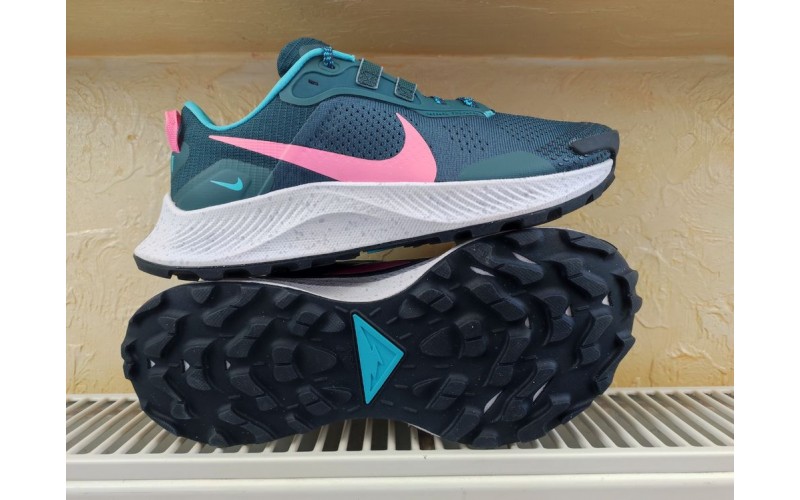 Кросівки Nike Pegasus Trail 3 DA8698-300