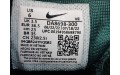 Кросівки Nike Pegasus Trail 3 DA8698-300