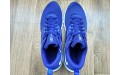 Кросівки Nike Renew Retaliation Tr AT1238-400